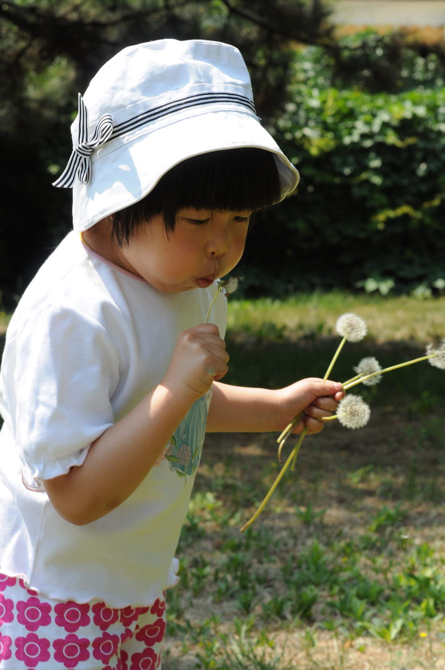 A child blowing dandelions